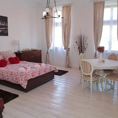 Grey Studio Apartment